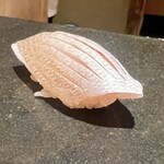 鮨処 やまと - 春子鯛しっかり旨み