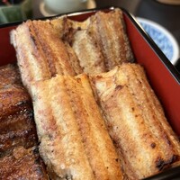 等々力 ひらさわ - 