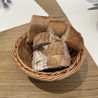 Loiseau de France - 