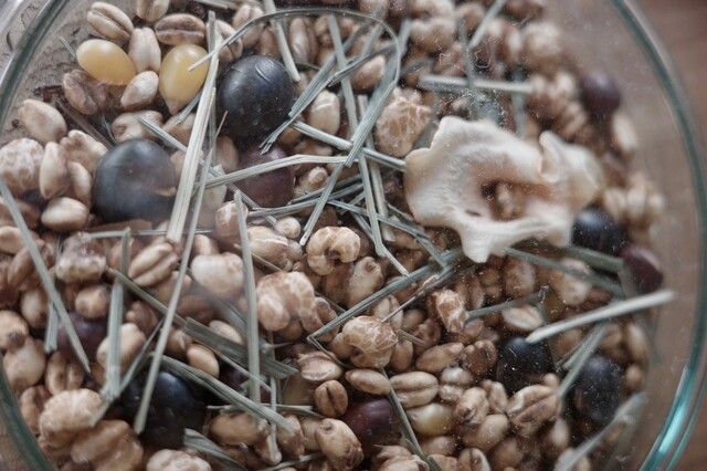 Cokyuu（コキュウ） - 洞爺湖町その他（カフェ）の写真