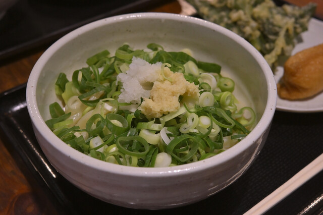 Daitsune Udon Ginza honten, Tokyo, Japan