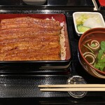 うなぎ 目白ぞろ芽 - 