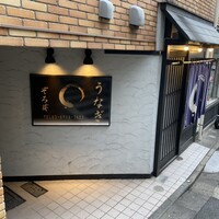 うなぎ 目白ぞろ芽 - 