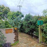 おれんじの樹 - 