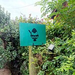 おれんじの樹 - 