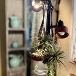 タヴェルナハンバーグ - 