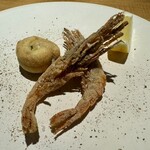 オステリア イル ガルボ - 