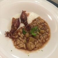 セルサルサーレ - 