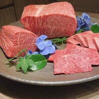 USHIGORO S. SHINJUKU - 