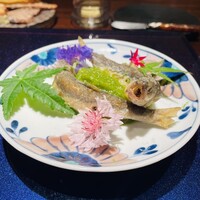 Gibier MIYAMA - 