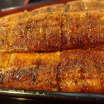 活魚料理　うおじま - うな重（一匹）