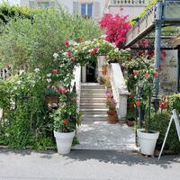 表参道バンブー - 