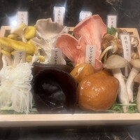 シャングリラズシークレット 銀座店 - 