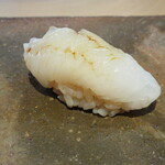 菊鮨 - アオリイカ