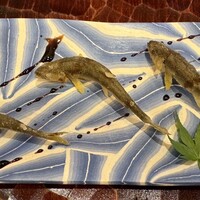 日本料理 かしづき - 