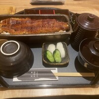うなぎ四代目菊川 ミッドランドスクエア 名古屋本店 - 