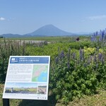 レークヒル・ファーム - 