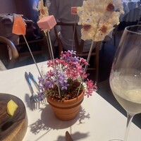 Convivio - 