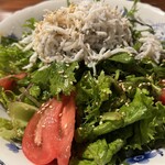 海鮮・鎌倉野菜 まつだ家 - シラスサラダ