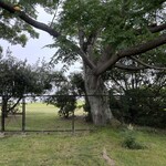 vokko - 窓からの景色