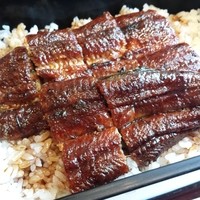 ひつまぶし名古屋備長 マロニエゲート銀座1店 - 