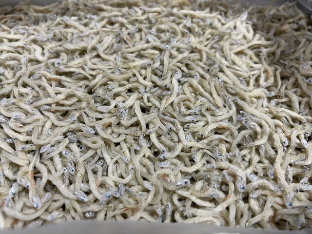 スーパーシシド 相馬リボン店（CCD） - 相馬（コンビニ・スーパー）の写真