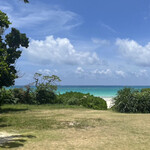 ブルータートル - 