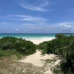 ブルータートル - 