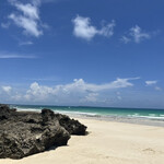 ブルータートル - 