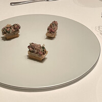 カンテサンス - 