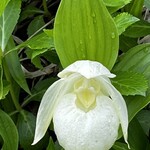 海鮮処 かふか - 