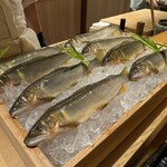 橦木町 しみず - 和良川天然鮎