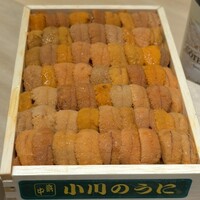 恵比寿 鮨 はつめ - 