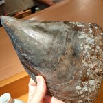 弁天山美家古寿司 - 平貝の殻