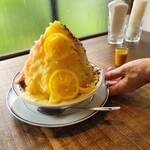 ネコノテシャ - 