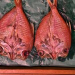 道の駅舞鶴港とれとれセンター - 