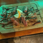 TORO - 
