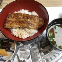 東京竹葉亭 南御堂店 -  東京竹葉亭 南御堂店 -