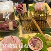 宮崎鶏 はねや