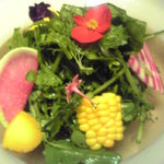 神保町 傳 - 6500円コース5中皿_畑の様子