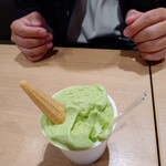 セタリア - 抹茶