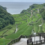 魚山人 - 近くの名勝、浜野浦の棚田