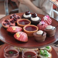 ザ タヴァン グリル＆ラウンジ - 