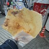 永楽堂 明石魚の棚店