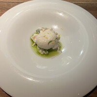 セルサルサーレ - 