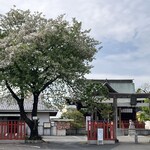 HashimotoFruits - 鳥居をくぐるとこんな感じ…