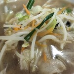 蒙古タンメン中本 - 冷やし醤油タンメン具材アップ