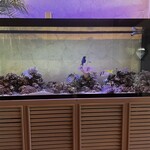 シーサイド - 水槽