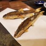 蕎麦前 中手 とうは - 