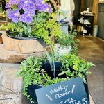 青山フラワーマーケット グリーンハウス 南青山本店 - 